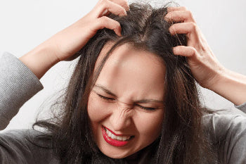 Herbal Anti - Dandruff (Hair Growth Shampoo + Conditioner) 300ML for Male & Female ⭐⭐⭐⭐⭐